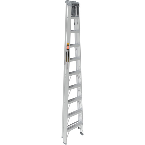 Step Ladder with Paint Tray, 10', Aluminum, 225 lbs. Capacity, Type 2 Les Distributions ICE
