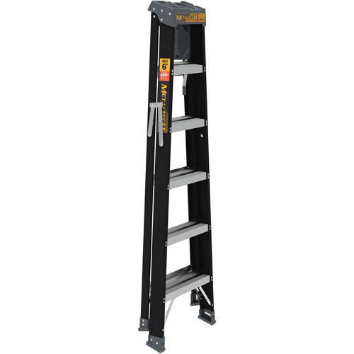 Step Ladder with Paint Tray, 6', Fibreglass, 250 lbs. Capacity, Type 1 Les Distributions ICE