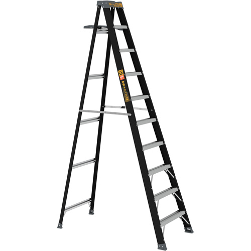Step Ladder with Paint Tray, 10', Fibreglass, 250 lbs. Capacity, Type 1 Les Distributions ICE