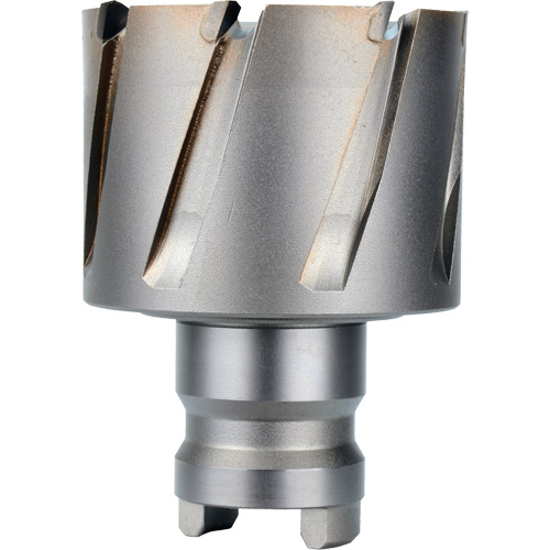 Quick Change Tang Drive Hawg&reg; Cutter, 2" Diameter, Steel, 1" Depth of Cut Les Distributions ICE
