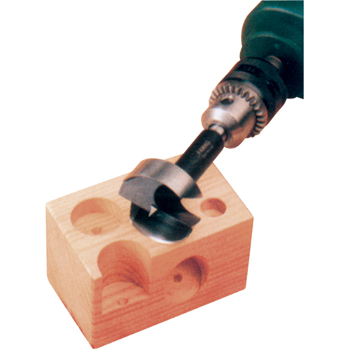 Forstner Bit, 19 mm, 8 mm Shank, 3-1/2" Length Les Distributions ICE
