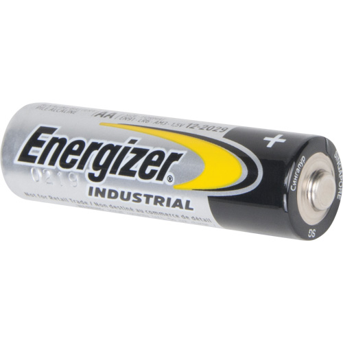 Alkaline Industrial Batteries, AA, 1.5 V Les Distributions ICE