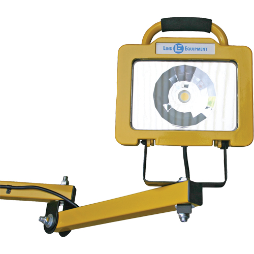 Heavy-Duty Dock Light, 40" Arm, 38 W, LED Lamp, Metal Les Distributions ICE