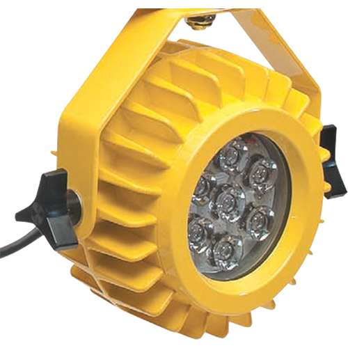 Lampe robuste DEL pour les quais - t&ecirc;te seulement Les Distributions ICE