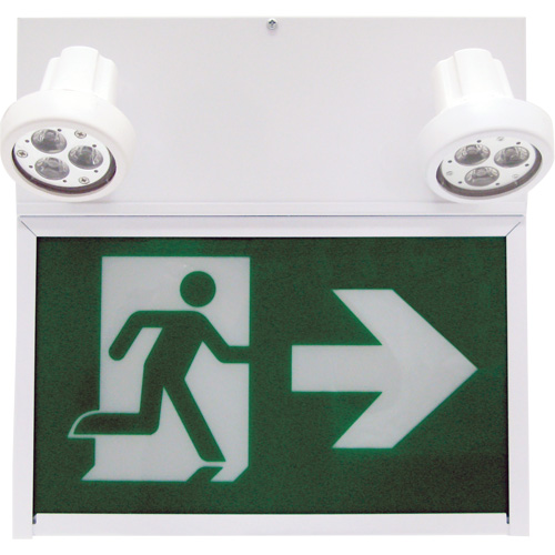 Enseigne de sortie coureur, DEL, &agrave; piles/&agrave; raccordement fixe, 12" lo x 12 1/2" la, Pictogramme Les Distributions ICE