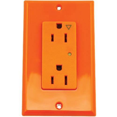 Prise isol&eacute;e avec protection contre les surcharges Decora Les Distributions ICE