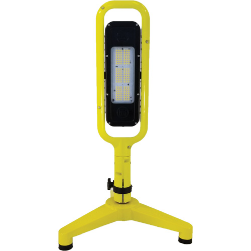 Beacon Infinity Light Floor Stand with Magnetic Mount, LED, 40 W, 5400 Lumens, Plastic/Aluminum Housing Les Distributions ICE