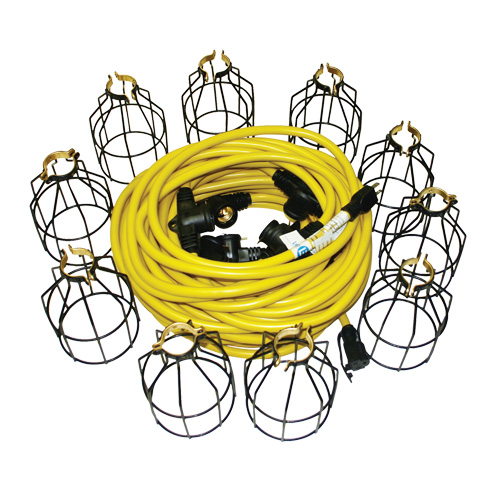 Guirlandes lumineuses &agrave; DEL, 10 Lumi&egrave;res, 100' lo, Boîtier en M&eacute;tal Les Distributions ICE