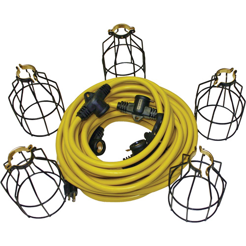 Guirlande &eacute;lectrique &agrave; DEL avec connecteur, 5 Lumi&egrave;res, 50' lo, Boîtier en M&eacute;tal Les Distributions ICE