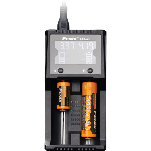 Chargeur de batterie &agrave; deux canaux ARE-A2 Les Distributions ICE