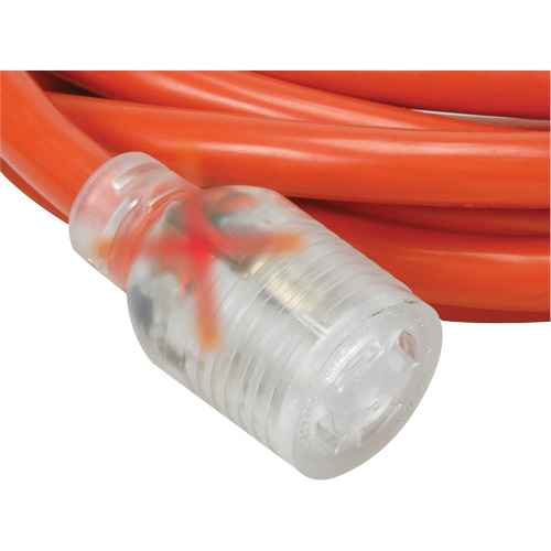 Generator Extension Cord with Quad Tap, Outdoor, 10 AWG, 30 A, 4 Outlet(s), 25' Les Distributions ICE