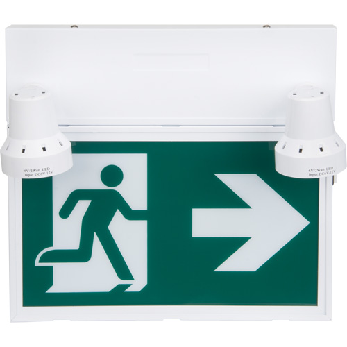 Enseigne d'homme qui court avec &eacute;clairage de s&eacute;curit&eacute;, DEL, &agrave; piles/&agrave; raccordement fixe, 12-1/10" lo x 11" la, Pictogramme Les Distributions ICE