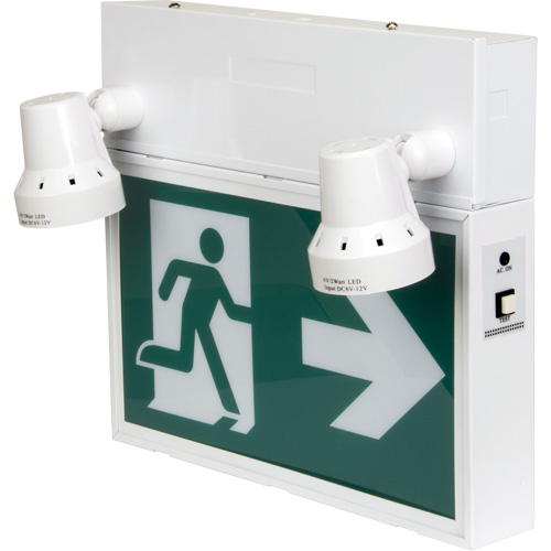 Enseigne d'homme qui court avec &eacute;clairage de s&eacute;curit&eacute;, DEL, &agrave; piles/&agrave; raccordement fixe, 12-1/10" lo x 11" la, Pictogramme Les Distributions ICE