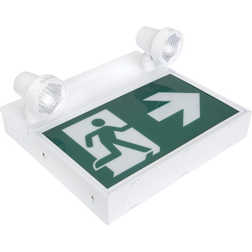 Enseigne d'homme qui court avec &eacute;clairage de s&eacute;curit&eacute;, DEL, &agrave; piles/&agrave; raccordement fixe, 12-1/10" lo x 11" la, Pictogramme Les Distributions ICE
