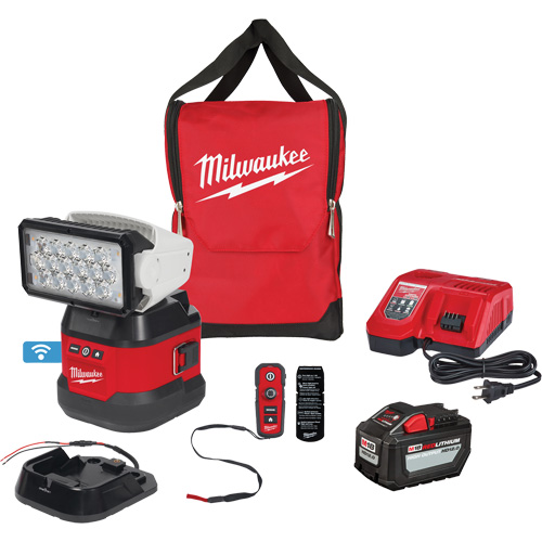 Ensemble d'&eacute;clairage orientable polyvalent &agrave; t&eacute;l&eacute;commande, DEL, 4250 lumens Les Distributions ICE