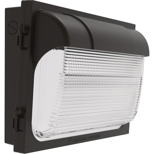 TWX Wall Luminaire, LED, 480 V, 9 W - 54 W, 14" H x 18" W x 5" D Les Distributions ICE