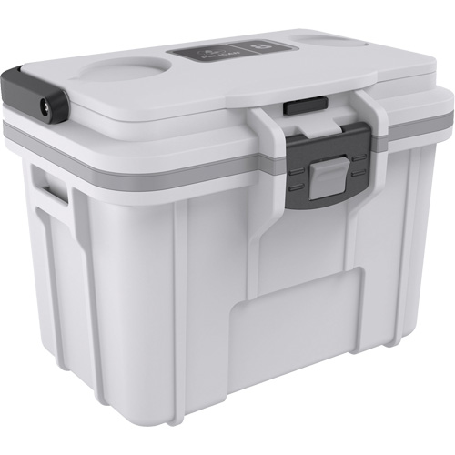 Personal Cooler, 8 qt. Capacity Les Distributions ICE