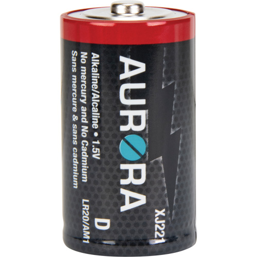 Piles alcalines industrielles, D, 1,5 V Les Distributions ICE
