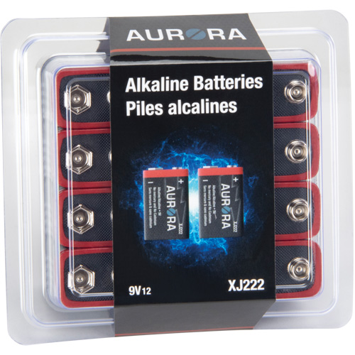 Industrial Alkaline Batteries, 9 V Les Distributions ICE