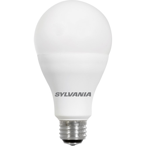 Lampe Ultra LED A-Line, 23 W, 2600 lumens, base Moyen Les Distributions ICE