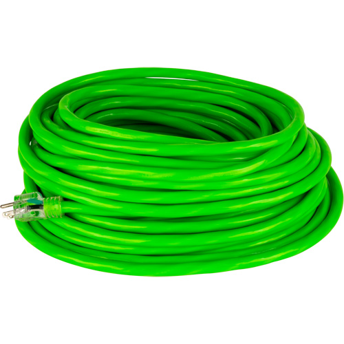 Industrial Extension Cord, All-Weather, SJTW, 10/3 AWG, 15 A, 50' Les Distributions ICE