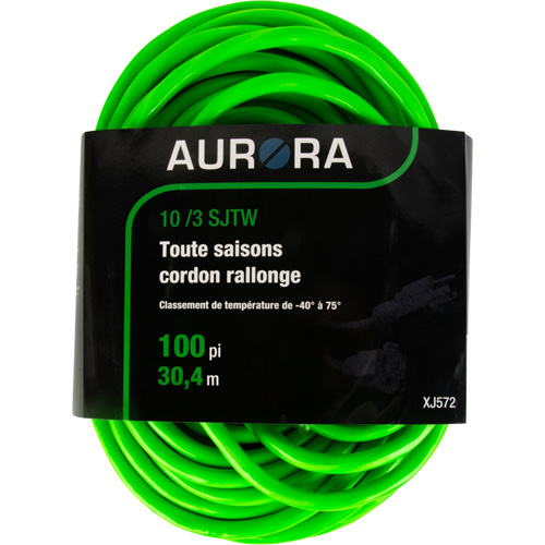 Industrial Extension Cord, All-Weather, SJTW, 10/3 AWG, 15 A, 100' Les Distributions ICE
