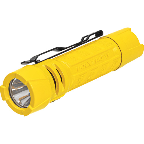 Lampe de poche PolyTac 1X, DEL, 350 lumens, Piles AA/CR123A Les Distributions ICE