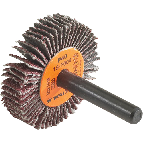 Disque &agrave; lamelles Coolcut, Oxyde d'aluminium, Grain 60, 1-1/2" x 3/8" x 1/4" Les Distributions ICE