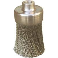 Brosses plates, rondes ou Roto Les Distributions ICE