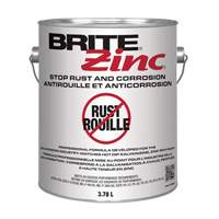 BRITE Zinc&reg; Corrosion Inhibitor, Gallon Les Distributions ICE