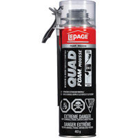 Quad&reg; Foam Window & Door Installation Foam, Aerosol Can, Tan Les Distributions ICE