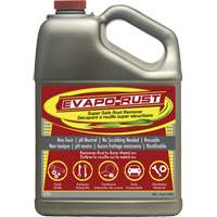 Evapo-Rust&reg; Super Safe Rust Remover, Jug Les Distributions ICE
