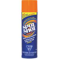 Spot Shot&reg; Professional Instant Carpet Stain Remover, 496 g, Aerosol Can Les Distributions ICE