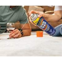 Spot Shot&reg; Professional Instant Carpet Stain Remover, 496 g, Aerosol Can Les Distributions ICE