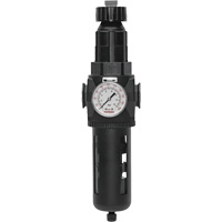 Modulair 400 Filter/Regulator with Manual Drain, 3/4" NPT, 200 psi, 9.1 fl. oz. Capacity Les Distributions ICE