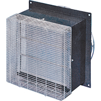 Fan Guard 12"  Front Les Distributions ICE
