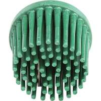 Disques bristle Roloc, Grain 120, 1" dia. Les Distributions ICE