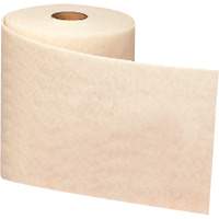 Ruban de nettoyage et de finition Scotch-Brite, Tr&egrave;s fin, Oxyde d'aluminium, 4" la x 30' lo Les Distributions ICE