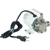 Pompes de transfert &agrave; amorçage automatique, non submersibles en laiton plaque - Pompe seulement, 115 V, 360 gal./h, 1/10 CV Les Distributions ICE