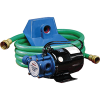 Pompes de transfert &agrave; amorçage automatique, non submersibles en laiton plaqu&eacute;, 115 V, 360 gal./h, 1/10 CV Les Distributions ICE