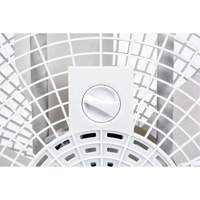 Box Fan, Commercial, 3 Speed, 20" Diameter Les Distributions ICE