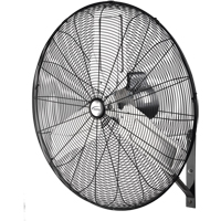 Non-Oscillating Wall Fan, Industrial, 2 Speed, 30" Diameter Les Distributions ICE
