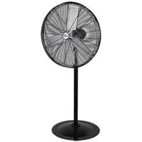 Oscillating Pedestal Fan, Heavy-Duty, 3 Speed, 30" Diameter Les Distributions ICE