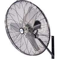 Waterproof Motor Misting & Oscillating Pedestal Fan, Industrial, 3 Speed, 30" Diameter Les Distributions ICE