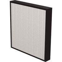 AeraMax&reg; Pro AM3 & AM4 2" True HEPA Filter, Box, 13.75" W x 2.25" D x 14.38" H Les Distributions ICE