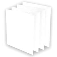 AeraMax&reg; Pro AM3 or AM4 Pre-Filters, 13.75" W x 0.13" D x 14.38" H Les Distributions ICE