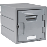 Locker, 12" x 15" x 12", Grey, Assembled Les Distributions ICE