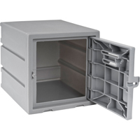 Locker, 12" x 15" x 12", Grey, Assembled Les Distributions ICE