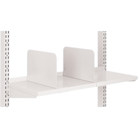 Postes de travail modulaires ergonomiques - Diviseurs pour tablettes en acier Les Distributions ICE