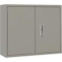 Armoire murale, Acier, 2 Tablettes, 30" h x 36" la x 12" P, Gris Les Distributions ICE